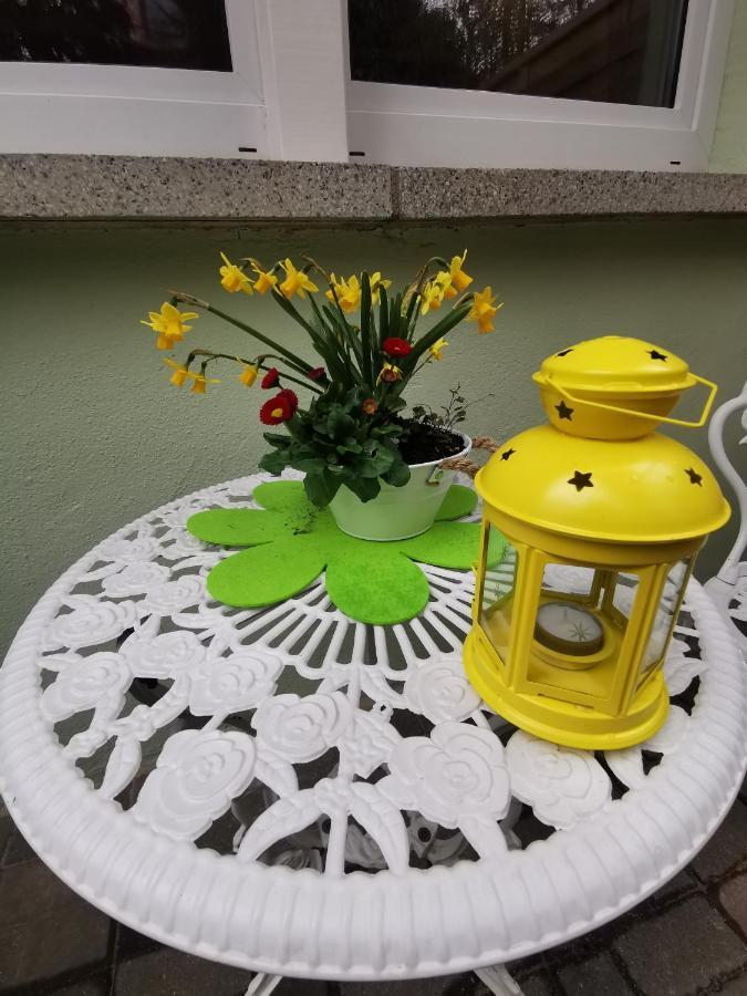 Pension Ginko Wernigerode Zewnętrze zdjęcie