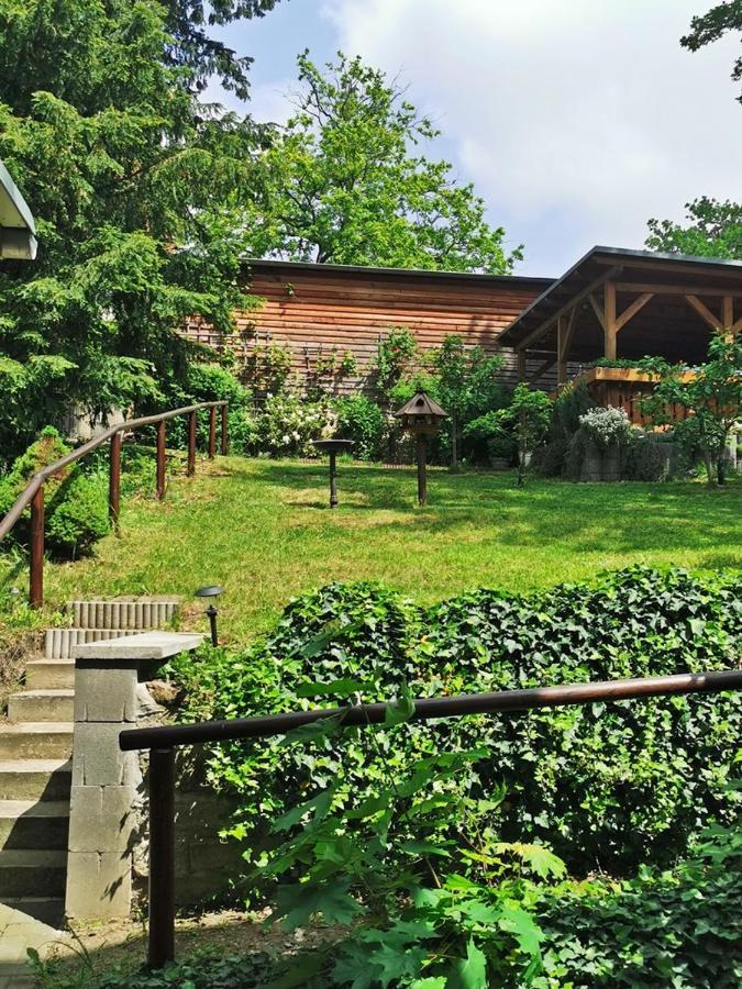 Pension Ginko Wernigerode Zewnętrze zdjęcie