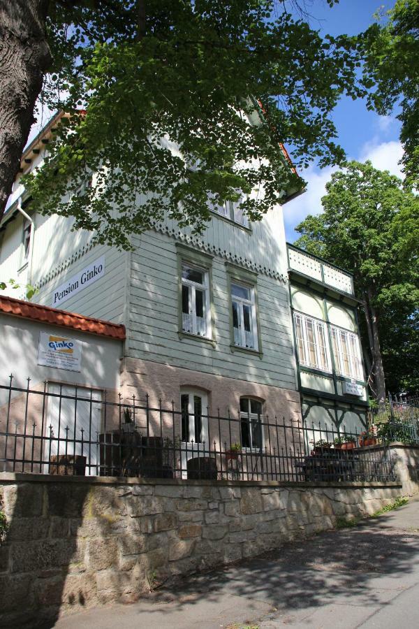 Pension Ginko Wernigerode Zewnętrze zdjęcie